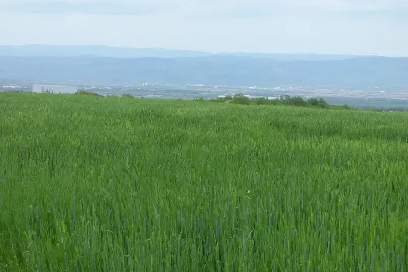 Парцел в София, Горна баня