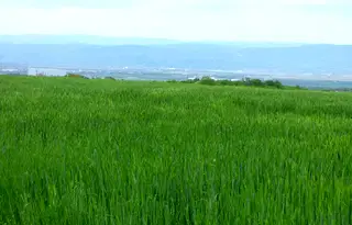 Парцел в София, Горна баня