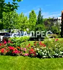 Парцел в София, Младост 4