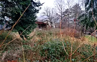 Парцел в София, Симеоново