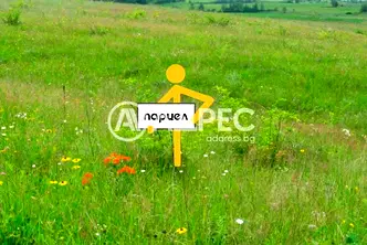 Парцел в Пловдив, Стамболийски