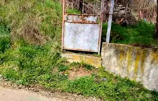 Парцел в София, Своге