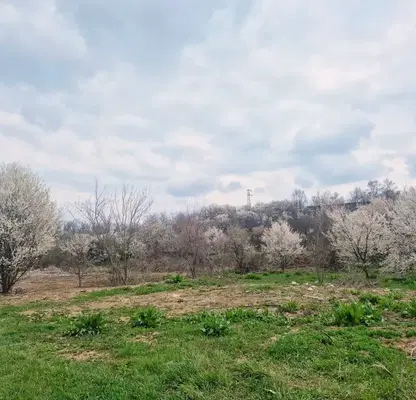 Photo 2 — Plot in Tyrgovishte, Promishlena Zona