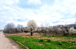Парцел в Търговище, Промишлена зона