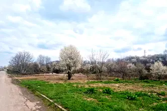 Парцел в Търговище, Промишлена зона