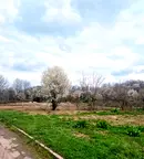 Парцел в Търговище, Промишлена зона