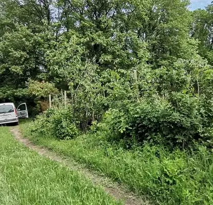 Снимка 5 — Парцел във Варна, м-т Перчемлията
