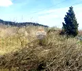 Снимка 4 — Парцел във Варна, м-т Планова