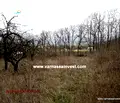 Снимка 3 — Парцел във Варна, м-т Сълзица