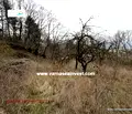 Снимка 4 — Парцел във Варна, м-т Сълзица