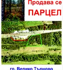 Парцел във Велико Търново, Света гора