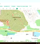 Парцел във Велико Търново, Света гора