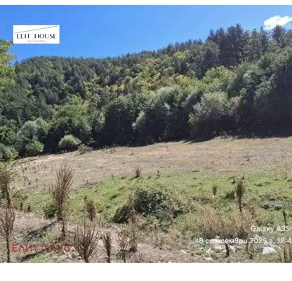 Photo 4 — Plot in Oblast Pazardjik, Велин