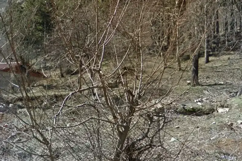 Парцел във Враца, Медковец
