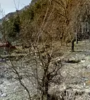 Парцел във Враца, Медковец