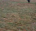 Снимка 4 — Земеделски имот в Кюстендил, Кюстендил