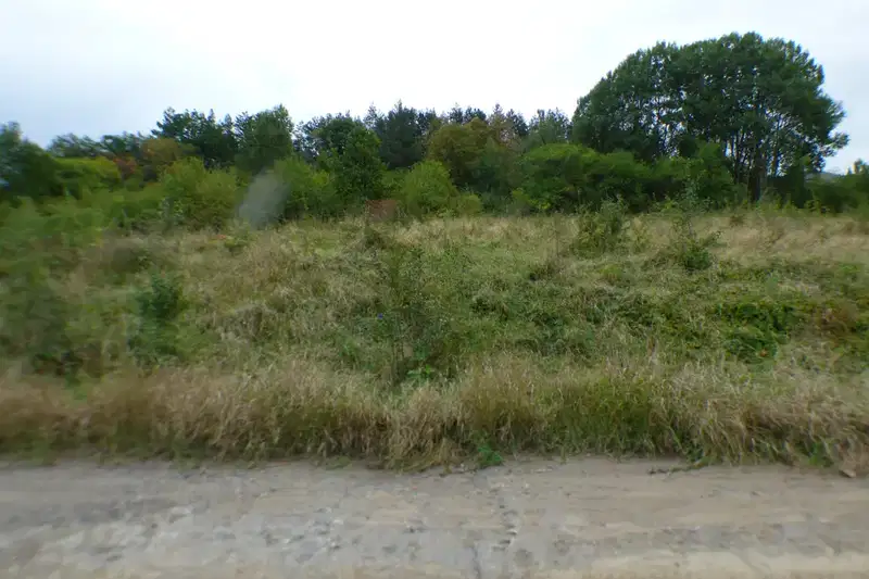 Forest/Scrubland in Blagoevgrad, Mikrevo