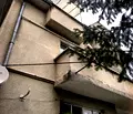 Снимка 4 — Къща в Банкя