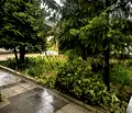 Снимка 5 — Къща в Банкя