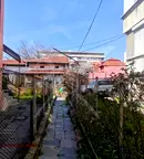 Къща в Пловдив, Център