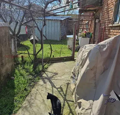 Photo 5 — House in Oblast Pleven, Gigen