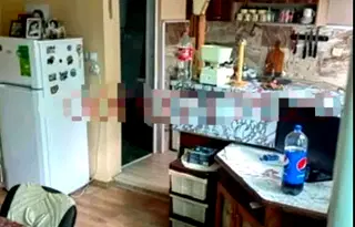 Къща в София, с. Гинци