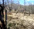 Снимка 4 — Къща в Ловеч, с. Орешак