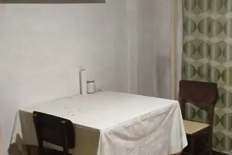 Двуетажна къща с 4 стаи и гараж в с. Пчелище, обл. Велико Търново