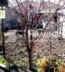 Къща във Варна, Трошево