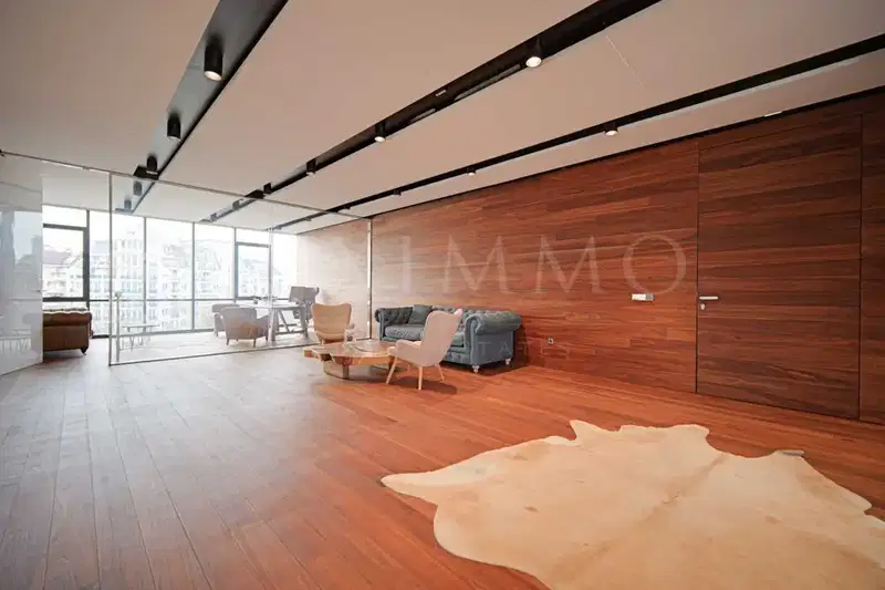 Office in Sofiya, Lozenec
