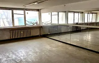 Магазин в София, Белите брези