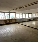 Магазин в София, Белите брези