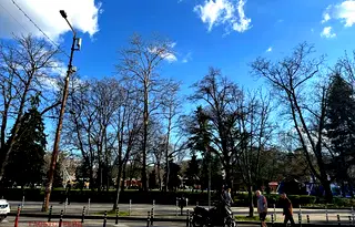 Магазин в София, Център