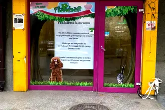 Магазин в София, Гео Милев