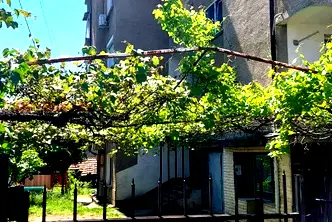 Многостаен апартамент в Монтана, Плиска