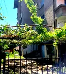 Многостаен апартамент в Монтана, Плиска
