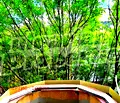 Снимка 2 — Двустаен апартамент в Център София с асансьор