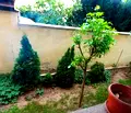 Снимка 4 — Двустаен апартамент в Овча купел 2 с достъп-контрол и асансьор