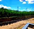 Снимка 5 — Тристаен апартамент с три изложение в Подуяне, София