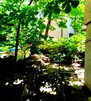 Тристайен апартамент с градина в Яворов, София