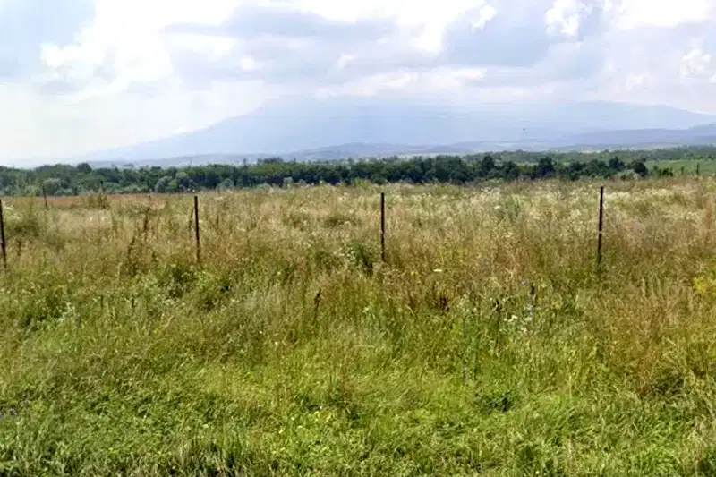Plot in Bankya