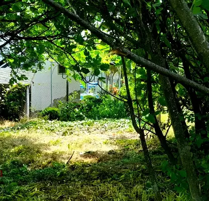 Photo 3 — Plot in Haskovo, Haskovo