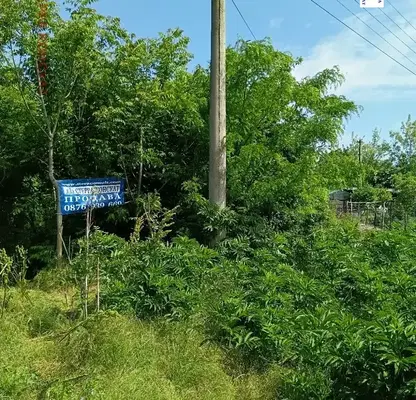 Photo 2 — Plot in Oblast Pleven, Kneja