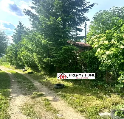 Photo 5 — Plot in Kyrdjali, Veselchane