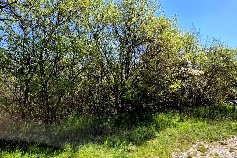 Plot in Pernik, Kalkas