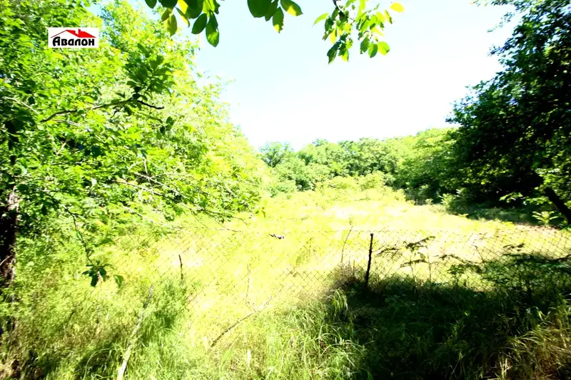 Plot in Ruse, Rusofili