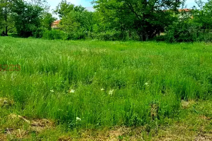 Plot in Oblast Varna, Asparuhovo
