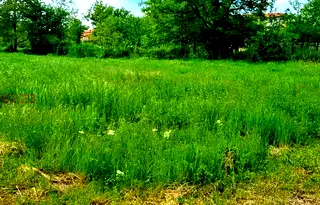 Парцел във Варна, с. Аспарухово