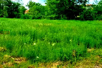 Парцел във Варна, с. Аспарухово