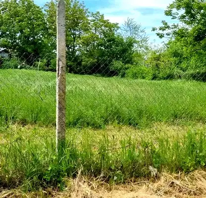 Photo 2 — Plot in Oblast Varna, Asparuhovo